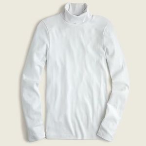 J. Crew Perfect Fit Turtleneck